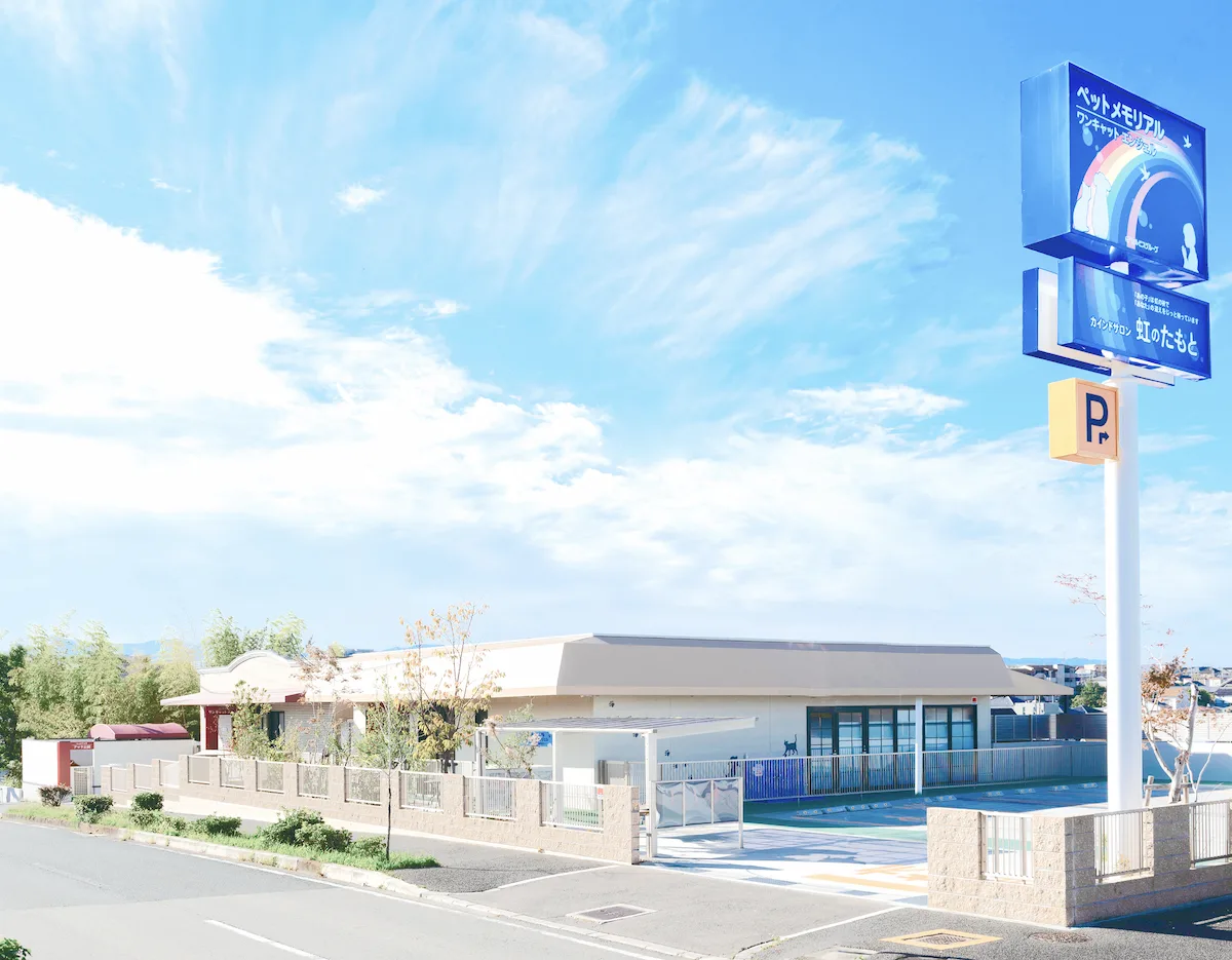 アクセスイメージ