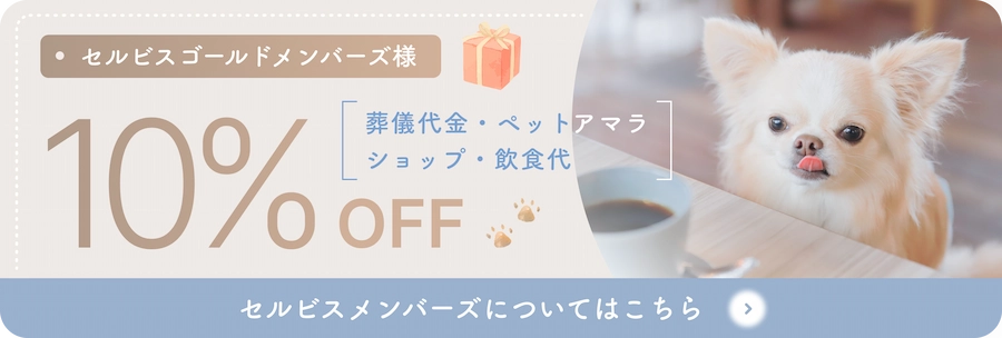 セルビスゴールドメンバー様10％off