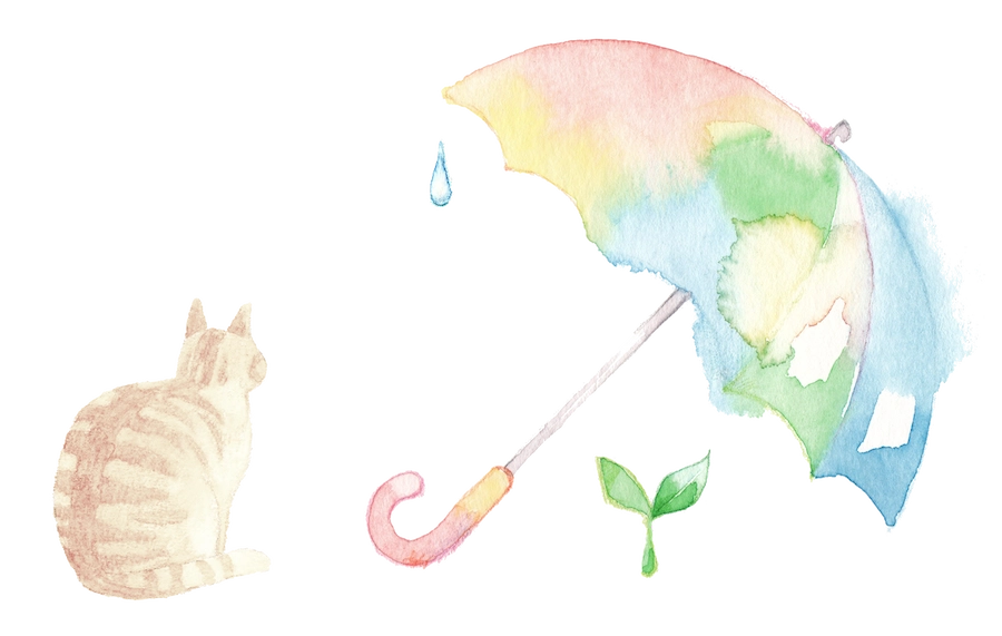 猫と傘