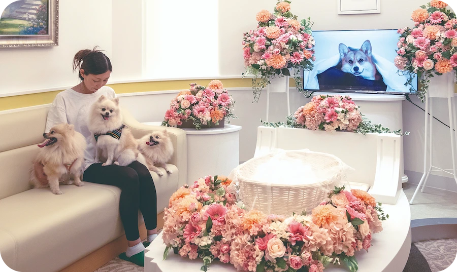 サンクスルーム