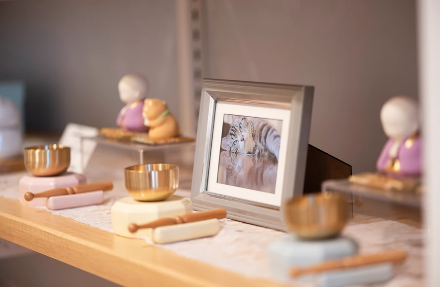 思い出と心の整理を