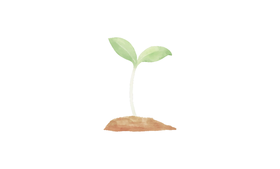 ペットの葬儀とは